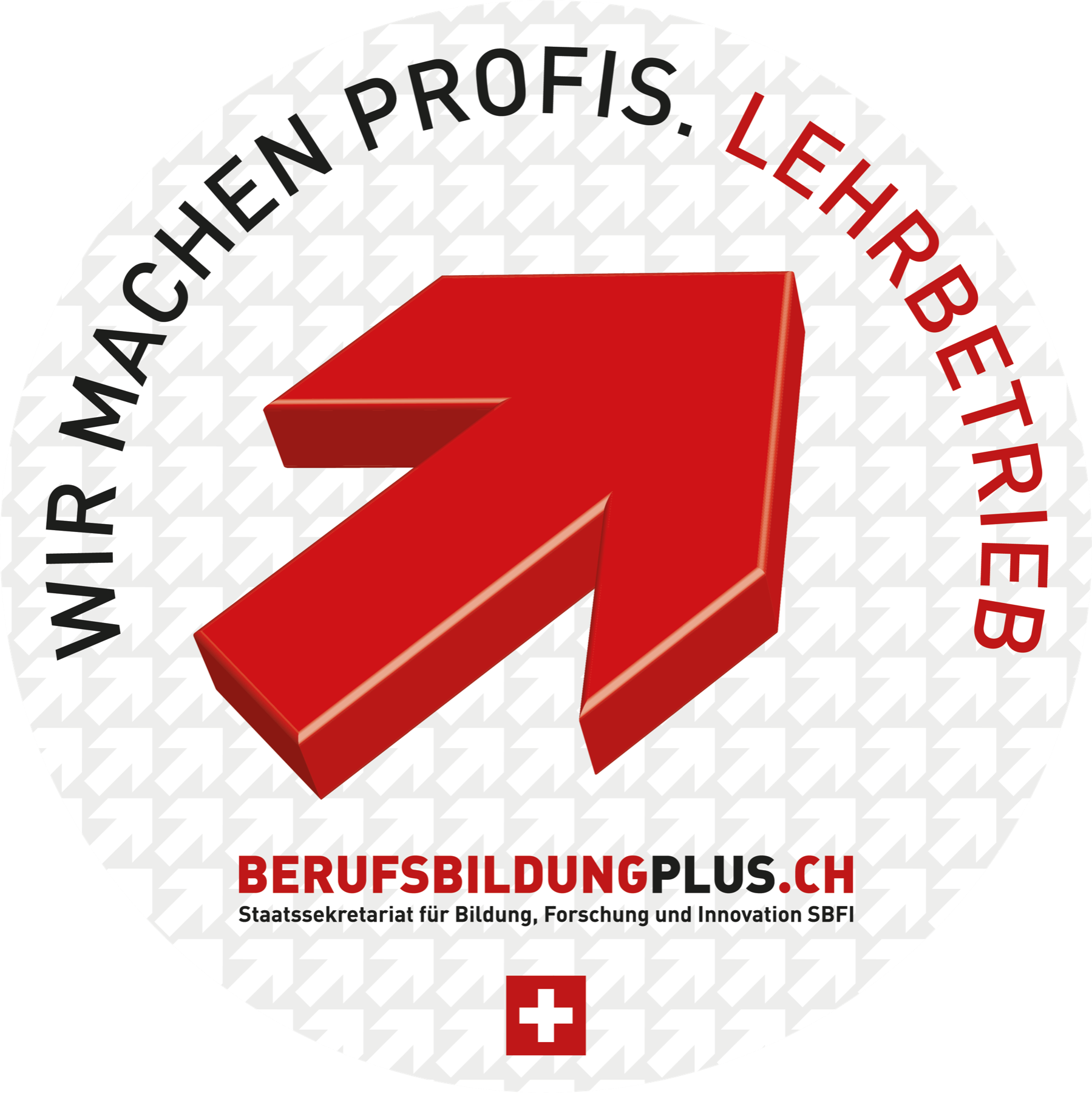 Wir machen Profis – Lehrbetrieb